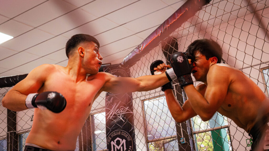 img 3944 mejorado nr img 3944 mejorado nr