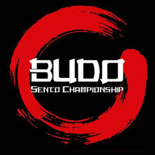 BUDO LOGO